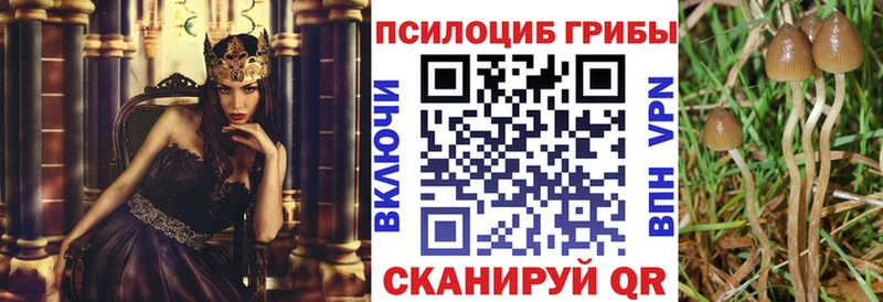 Псилоцибиновые грибы ЛСД Верхняя Пышма